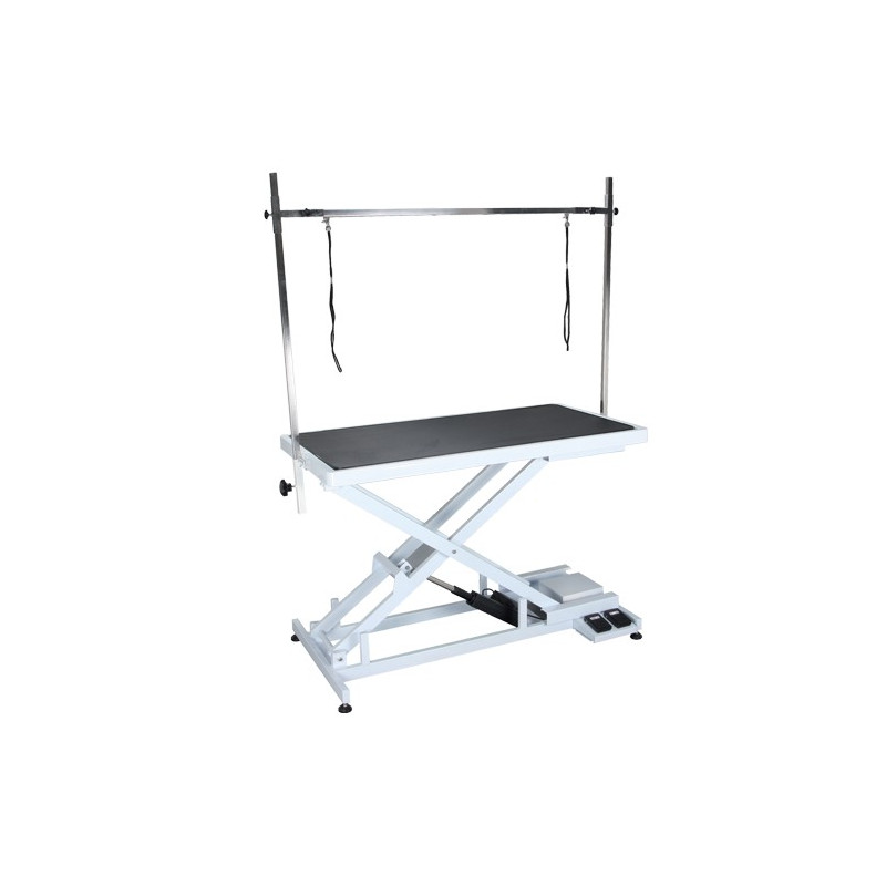 electric grooming table