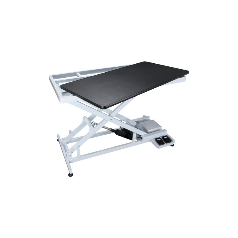Phoenix Universal Callisto Electric Grooming Table