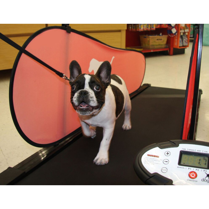 dogPACER MiniPacer běžecký pás pro psy do 25 kg