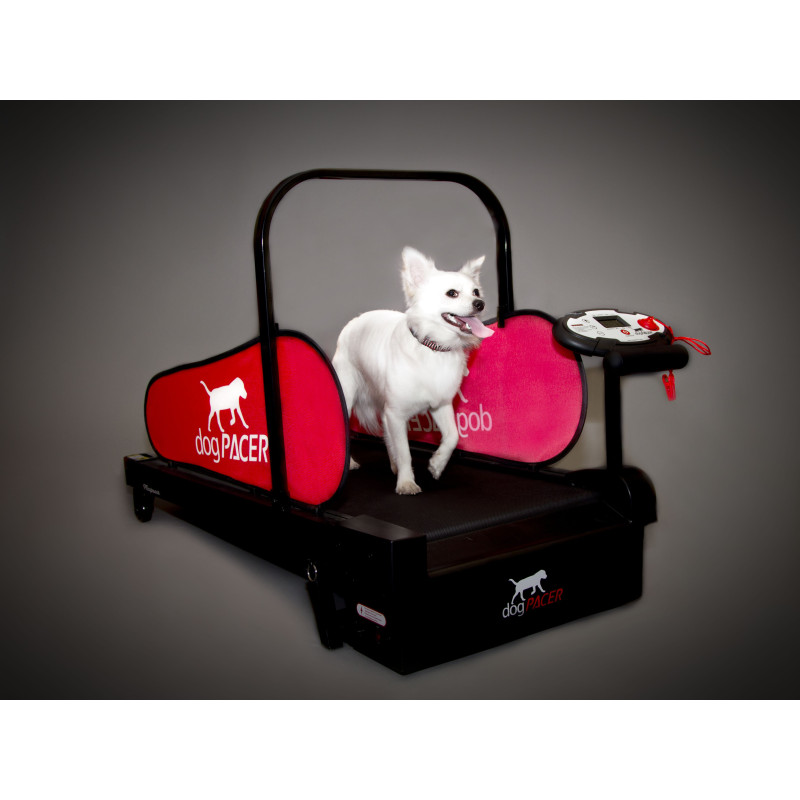 dogPACER MiniPacer běžecký pás pro psy do 25 kg