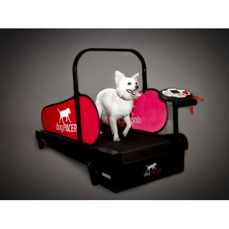 dogPACER MiniPacer běžecký pás pro psy do 25 kg