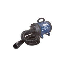 Phoenix Universal Zephir – портативный фен/бластер