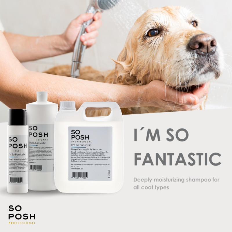 So Posh I’m So Fantastic Shampoo 4 L – Feuchtigkeitsshampoo für Hunde