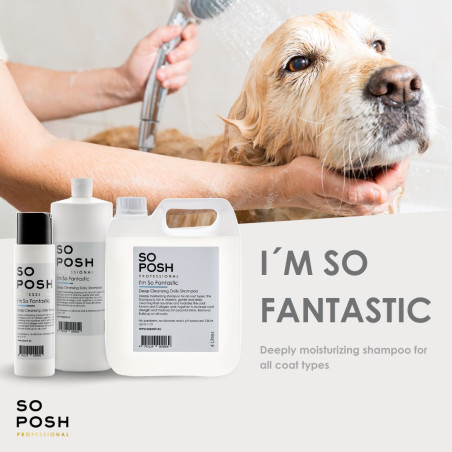 So Posh I’m So Fantastic Shampoo 4 L – Feuchtigkeitsshampoo für Hunde