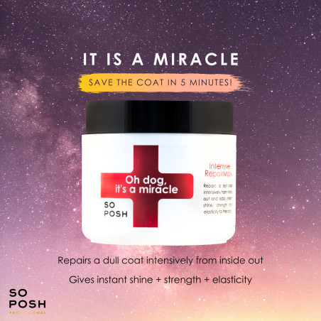 So Posh Oh Dog, It’s a Miracle Intensive Repair Mask 500 ml – Intensiv reparierende Maske für alle Felltypen
