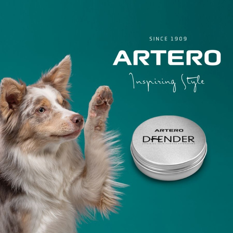Artero Dfender