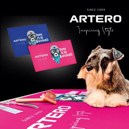 Artero YOGA MAT 115*60 cm