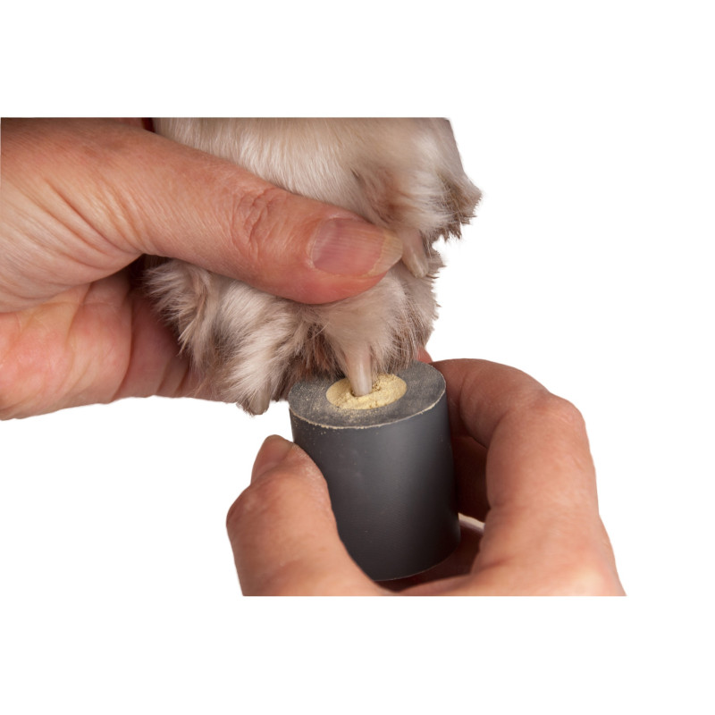 Show Tech Stop Bleeding Holder