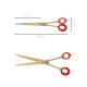 Posh Gold - 8.5″ Straight scissors