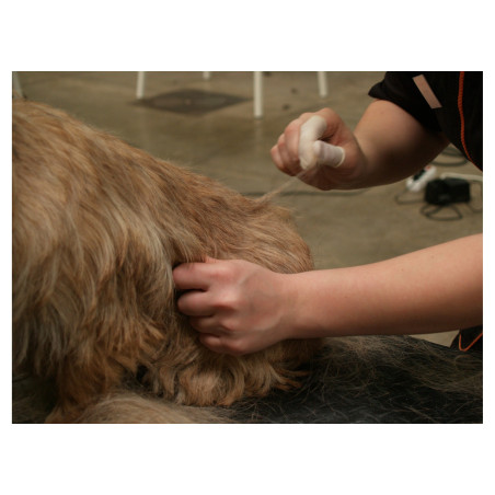 Show Tech Vingerlingen – Weiße Latex-Fingerlinge (M / L) – 100 Stück