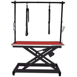 Table électrique 