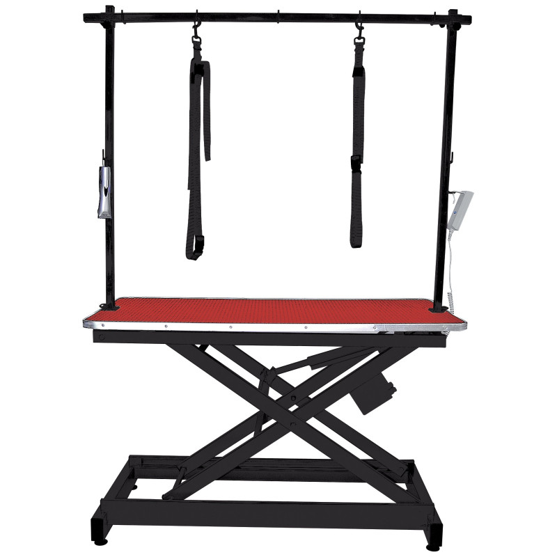 Electric grooming table