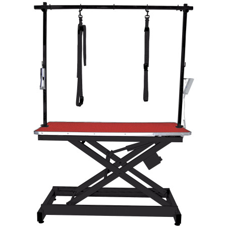 Electric grooming table