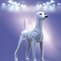 Виртуальная собака - манекен пудель