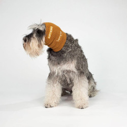 Artero Focus Insulated Pet Earmuffs