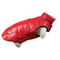 Doogy Fun Fashion down jacket red