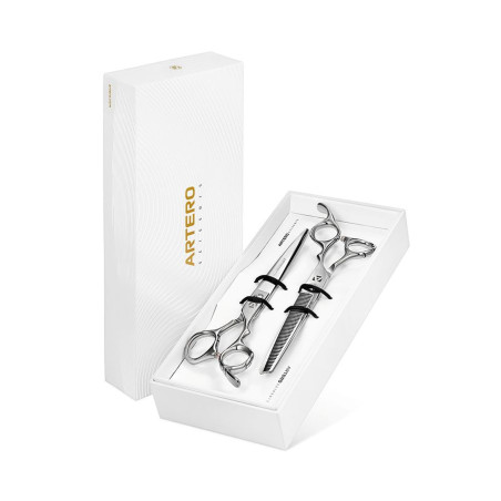 Artero Set One – Professional Grooming Scissor Set for Beginners