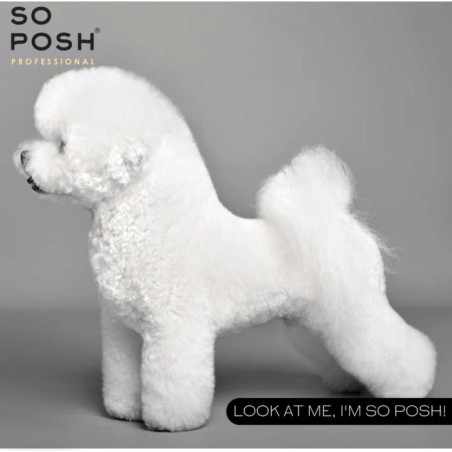 So Posh So White Shampoo 250 ml – Shampooing éclaircissant pour chiens blancs