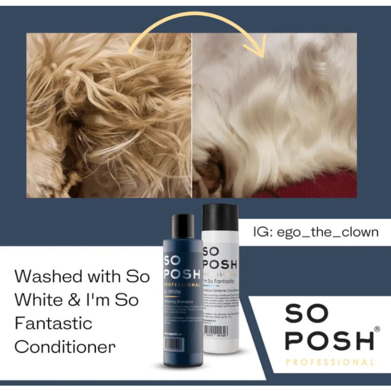 So Posh So White Shampoo 250 ml – Shampooing éclaircissant pour chiens blancs