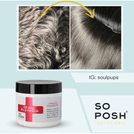 So Posh Oh Dog, It’s a Miracle Intensive Repair Mask 500 ml – Intensiv reparierende Maske für alle Felltypen