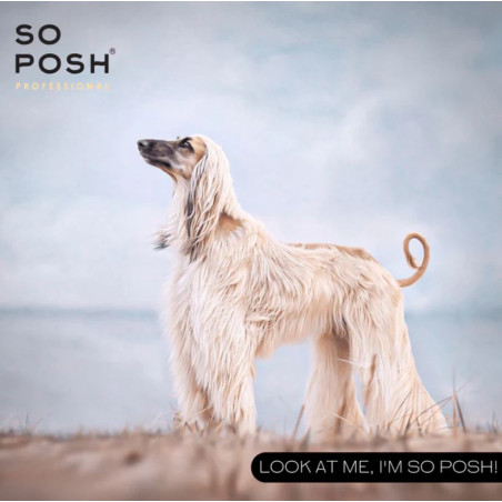 So Posh Oh Dog, It’s a Miracle Intensive Repair Mask 500 ml – Intensiv reparierende Maske für alle Felltypen