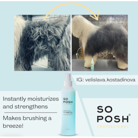 So Posh Look at Me, I’m Tangle-Free Detangler Spray 250 ml – Entwirrungsspray für Hunde und Katzen