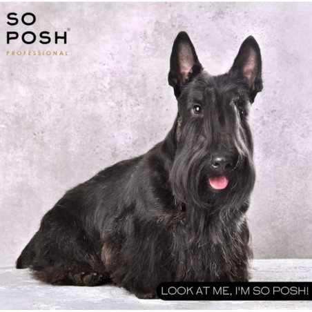 So Posh Harsh Harsh Dust 35 мл – Текстурирующая пудра для плотности и фиксации шерсти