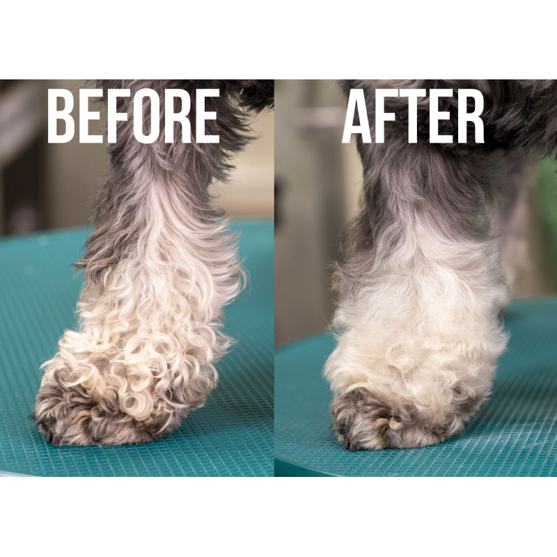 Show Tech Quick Clean Trockenshampoo für Hunde und Katzen