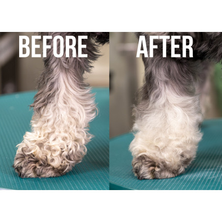 Show Tech Quick Clean Trockenshampoo für Hunde und Katzen