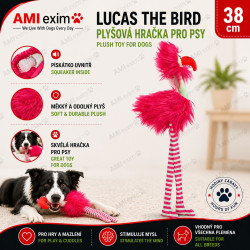 LUCAS THE BIRD –...