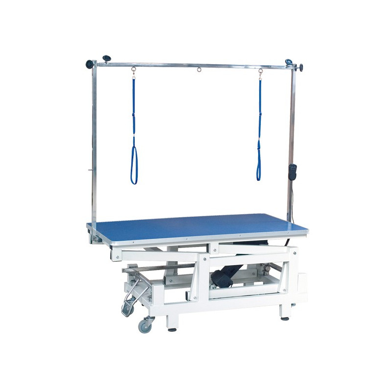Phoenix Universal Andromeda Electric Grooming Table