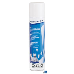 Dog Generation Whitening...