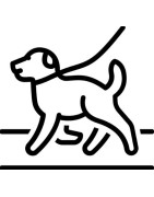 Les tapis de course pour chiens