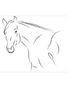 Cosmétiques et outils pour chevaux