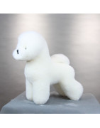 Éducation & formation pour toiletteurs