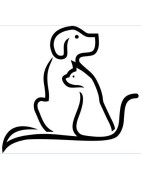 Accessoires pour animaux