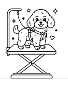 Grooming-Ausstattung für Hunde & Katzen